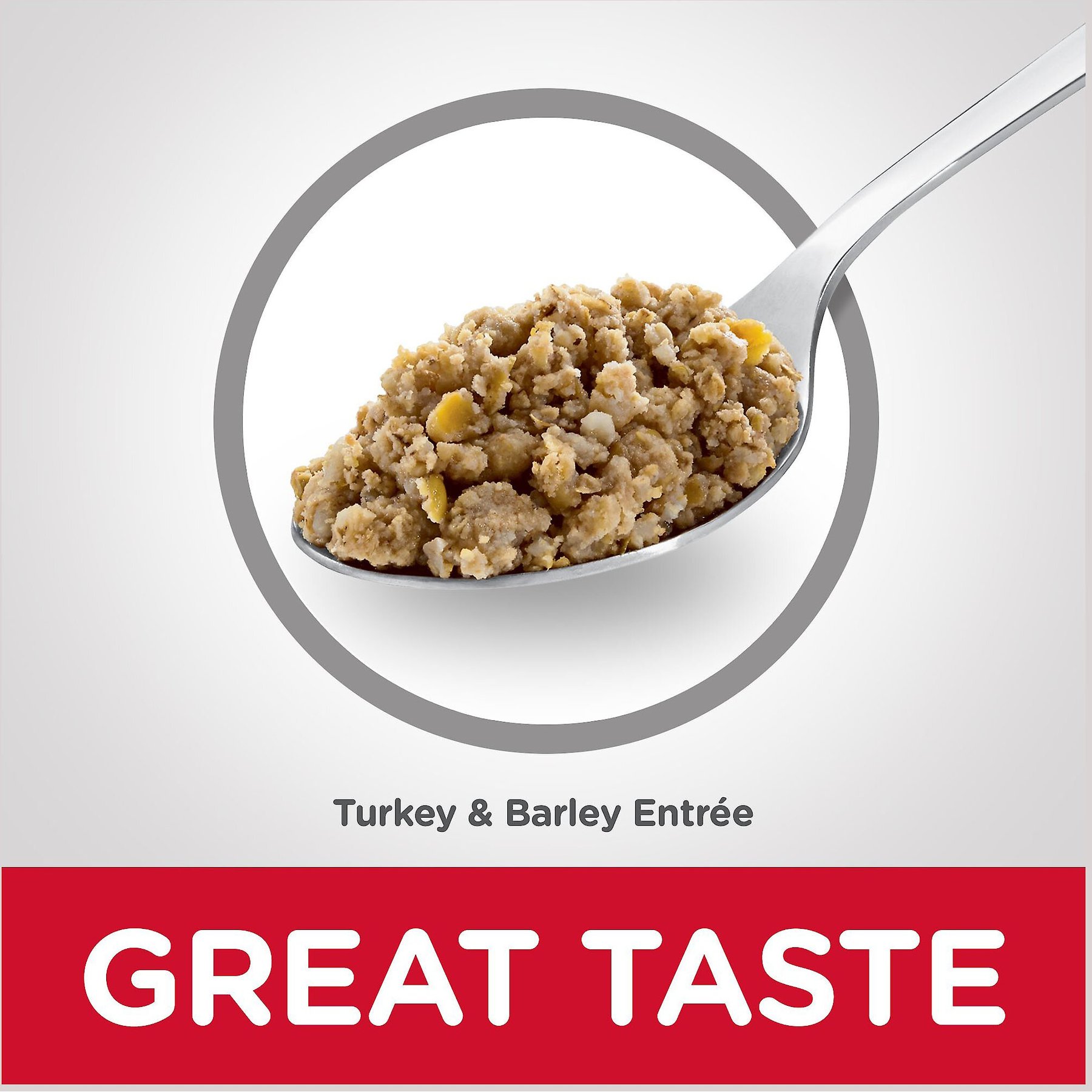 Hill's Science Diet Senior Adult 7+ Turkey & Barley Entree Canned Dog Food, 13-oz, case of 12