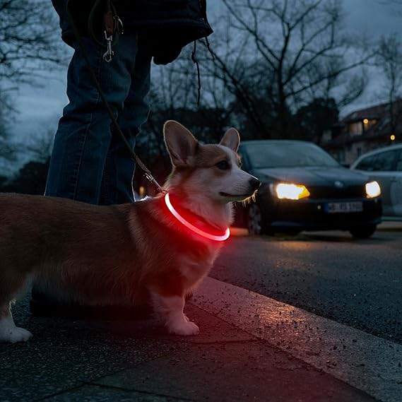 HIGO Up USB Rechargeable LED Collar Glow in The Dark, TPU Flash Dog Necklace Light Make Your Dogs Be Visible& Safe