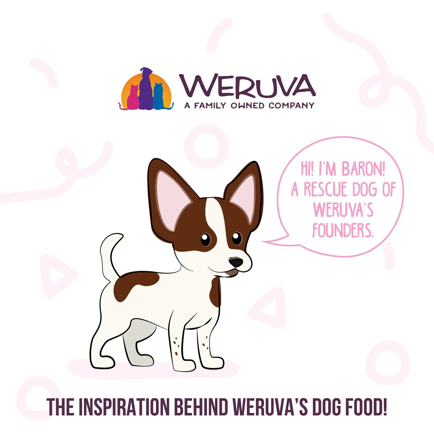 Weruva Meals 'n More Natural Wet Dog Food, Amazon Livin' Plus Digestive Support, 3.5-oz cup, 12 count