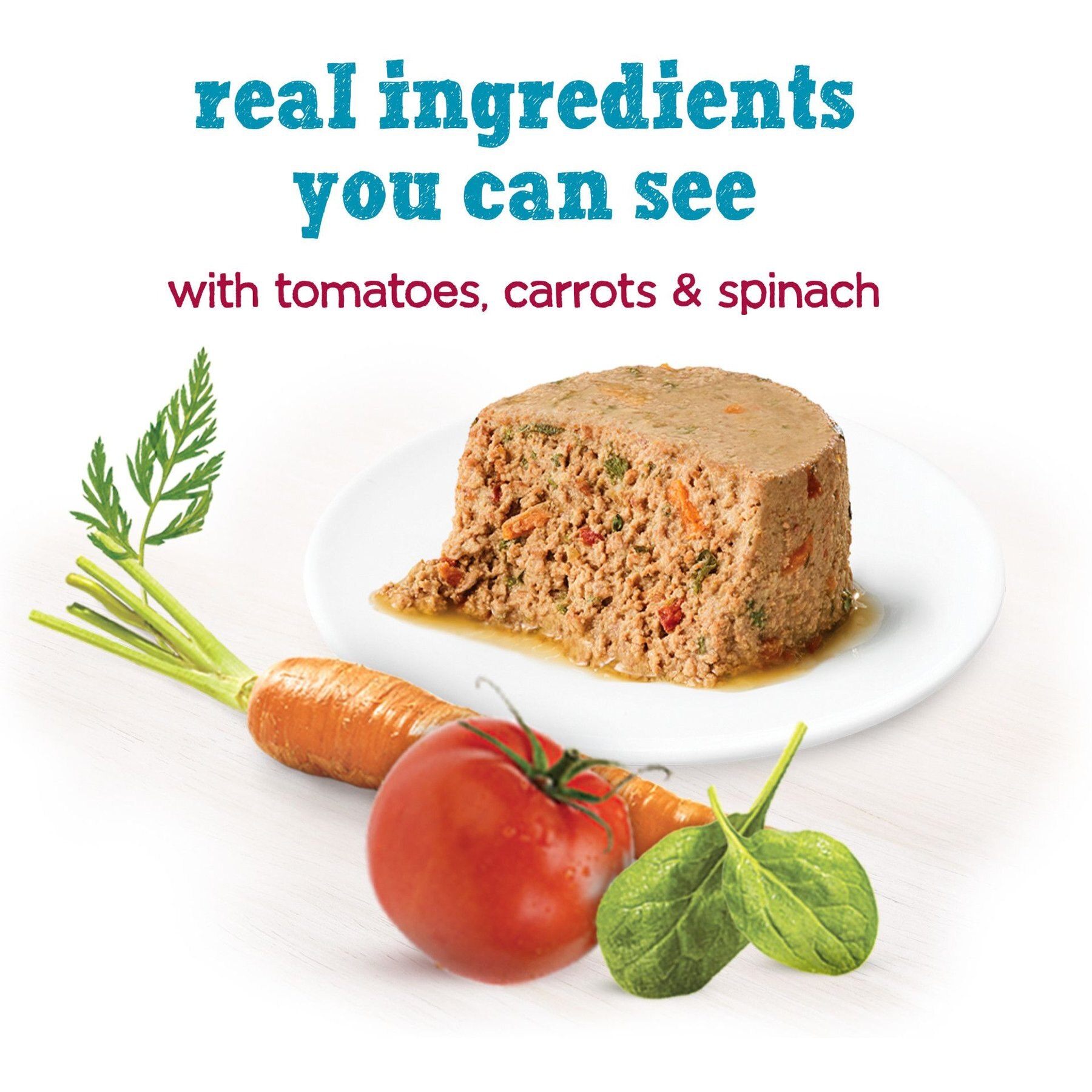 Purina Beneful IncrediBites Pate with Real Beef, Tomatoes, Carrots & Spinach Wet Dog Food, 3-oz can, case of 24