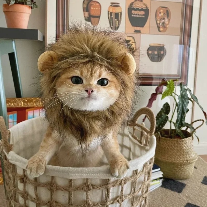 Cute Mane Hat for Dogs and Small Dog Cat Decor Accessories Lion Wig Fancy Hair Cap Pet Supplies