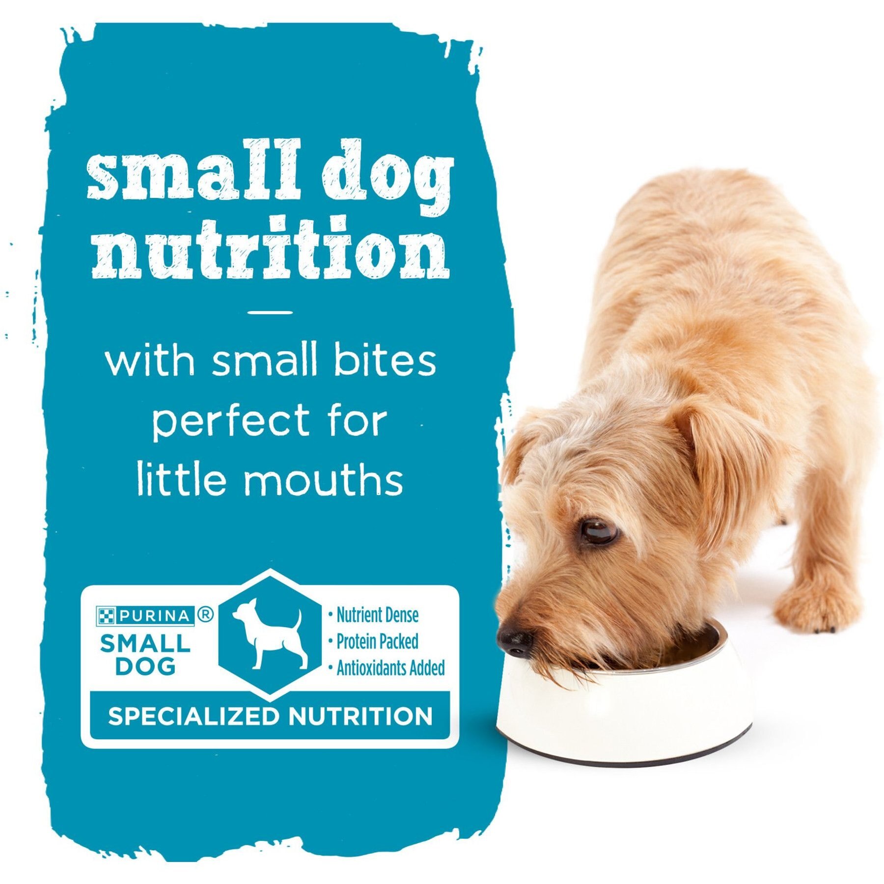 Purina Beneful IncrediBites with Real Chicken & Gravy Small Breed Wet Dog Food