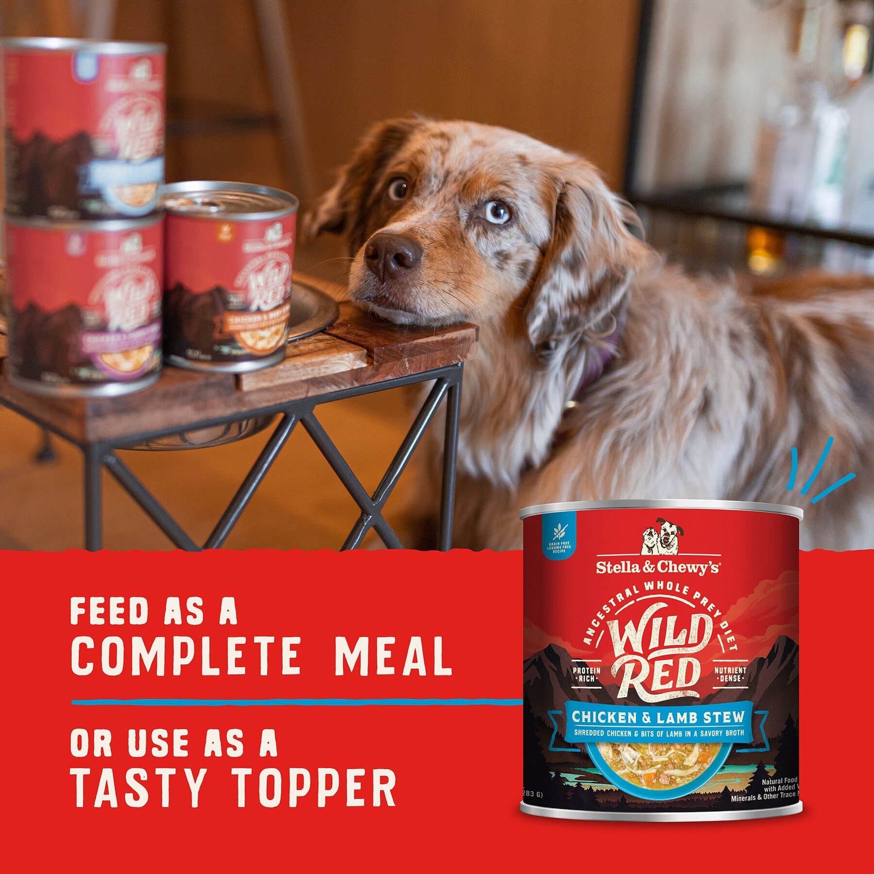 Stella & Chewy's Wild Red Grain-Free Chicken & Lamb Stew Wet Dog Food