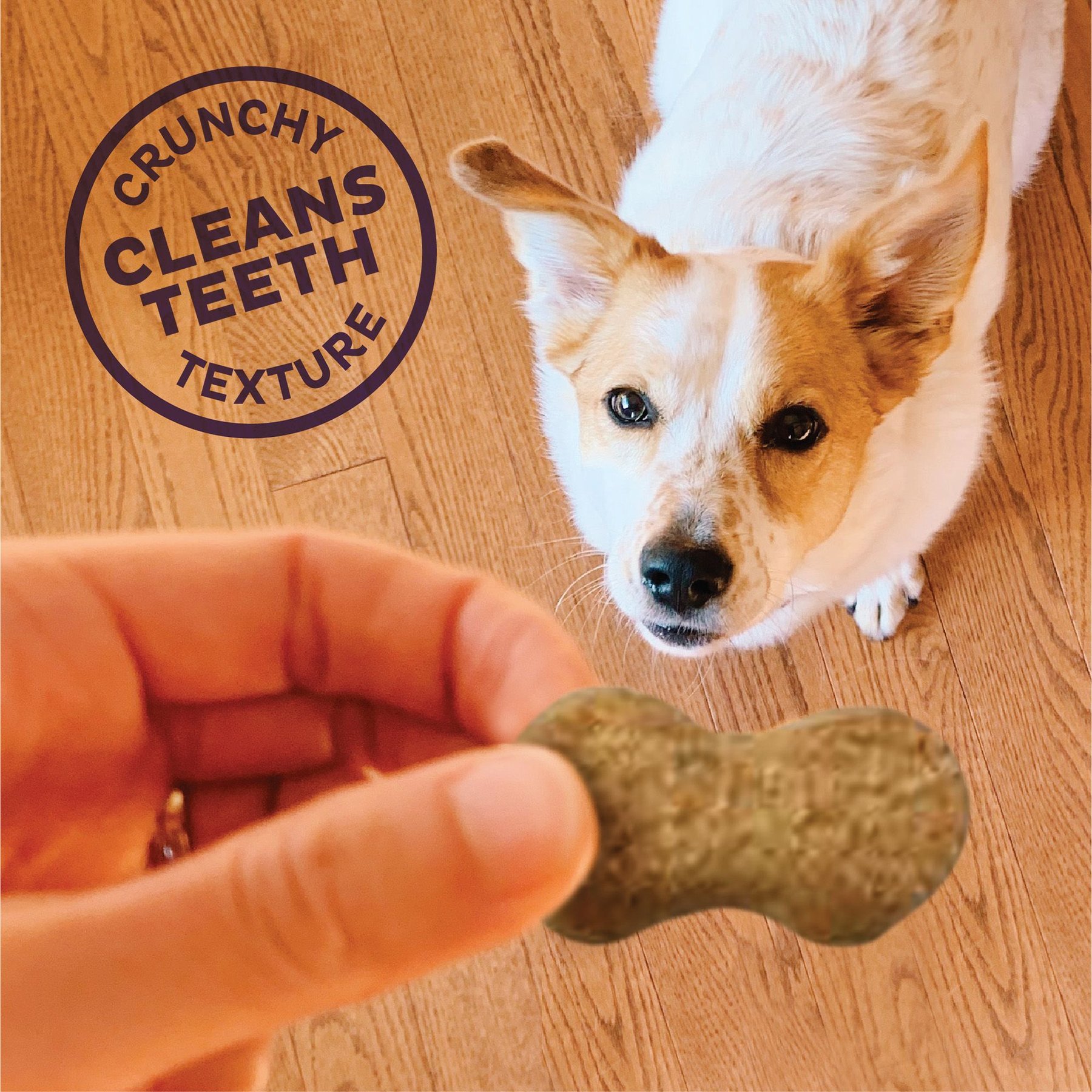 Old Mother Hubbard by Wellness P-Nutty Assorted Mix Natural Small Oven-Baked Biscuits Dog Treats