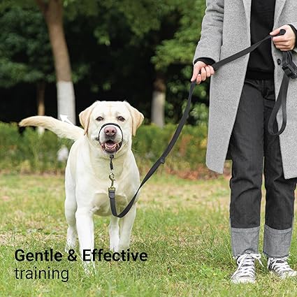 SVD.PET No-Pull Dog Headcollar Easier Walks, Chew-Proof Protector Increase Comfort, Simple Design, Easy to Wear Adjust (Medium for Small and Medium Si