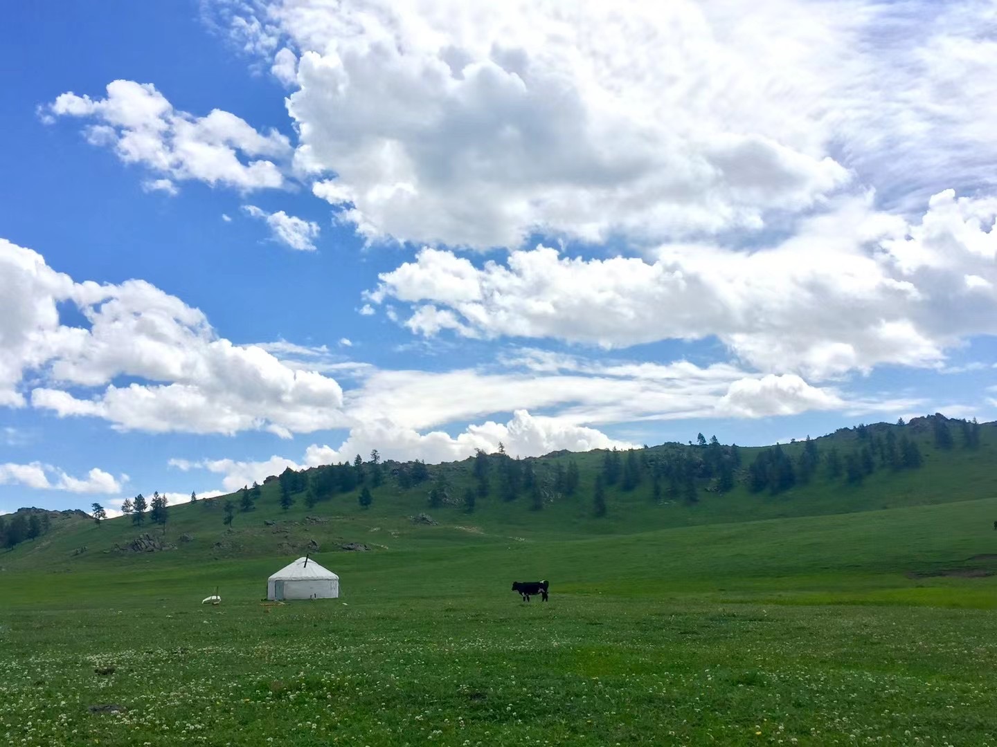 23ss Kids Fashion T-shirts Short Sleeve Tees Tops Boys Girls Children Casual Letter Printed Pattern T-shirts Pullover Offline customer t shirts 1118