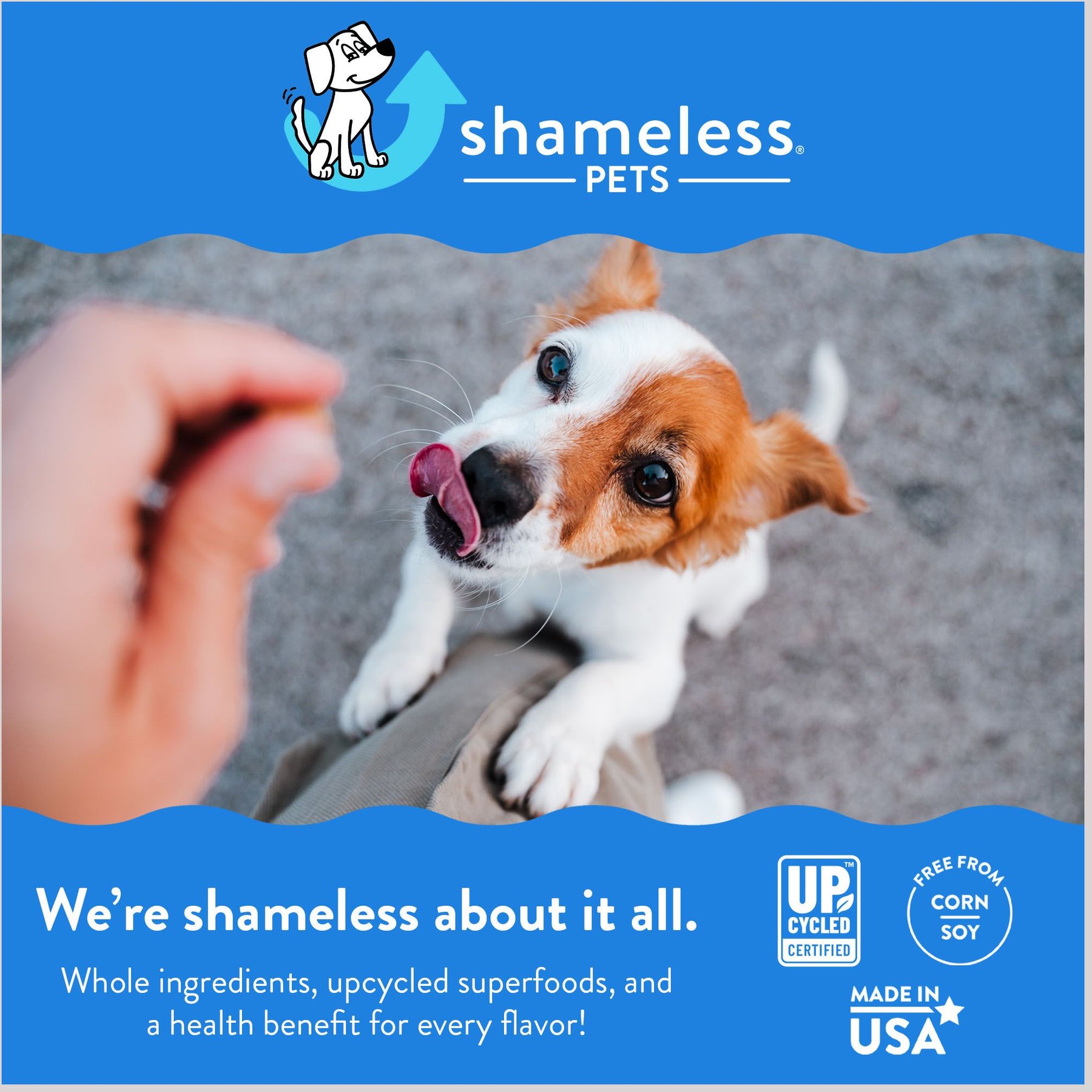Shameless Pets Bone Broth Chews Bacon Hits Different Dog Treats, 8-oz bag