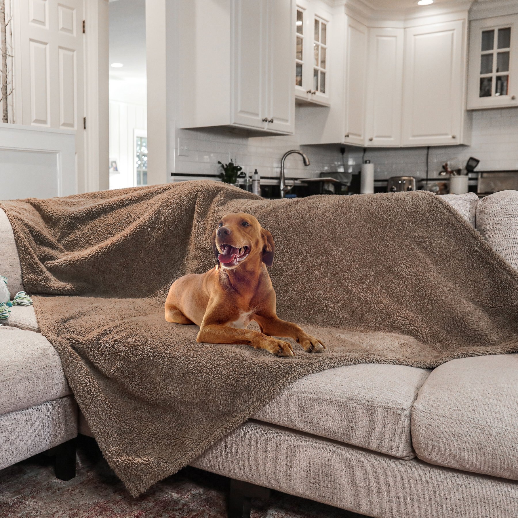 Rocket & Rex Waterproof Cat & Dog Blanket