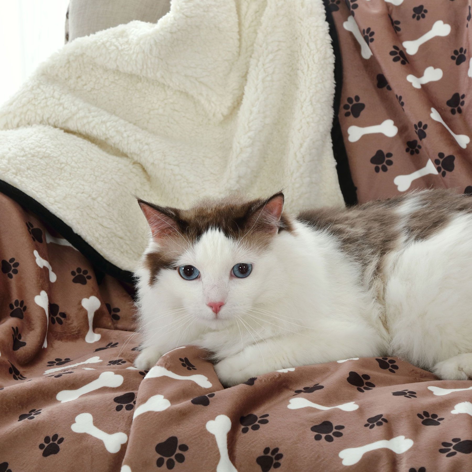 HappyCare Textiles advanced Pets Print cozy Waterproof Cat & Dog blanket