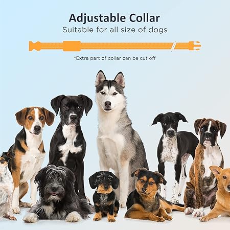 PATPET Remote - Waterproof Dog Training Collar for Small Medium Large Dogs with Beep, Vibration and 16 Static Levels Shock