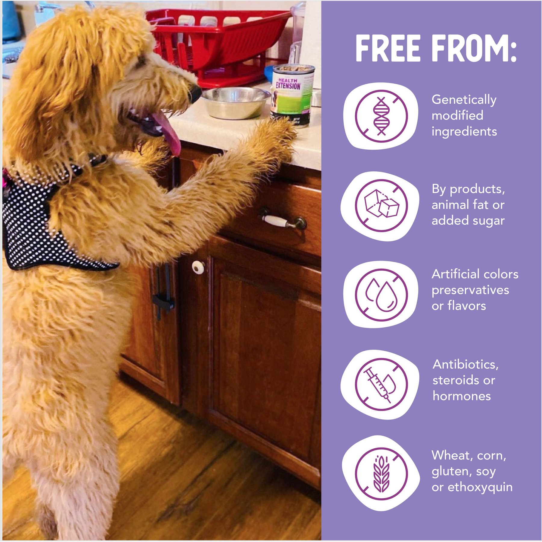 Health Extension Grain-Free Chicken Canned Dog Food