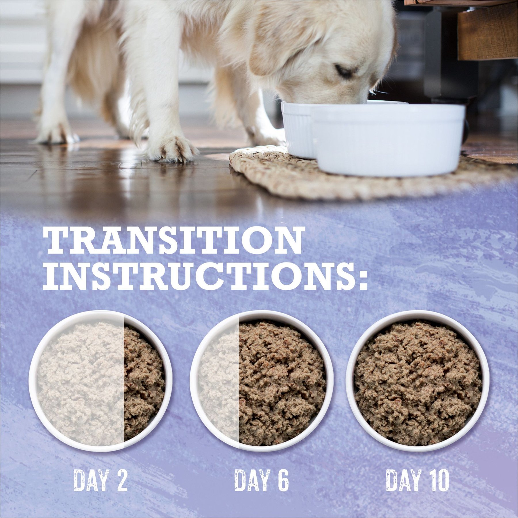 Purina Beyond Wild Prey-Inspired Grain-Free High Protein Turkey, Liver & Duck Pate Recipe Canned Dog Food