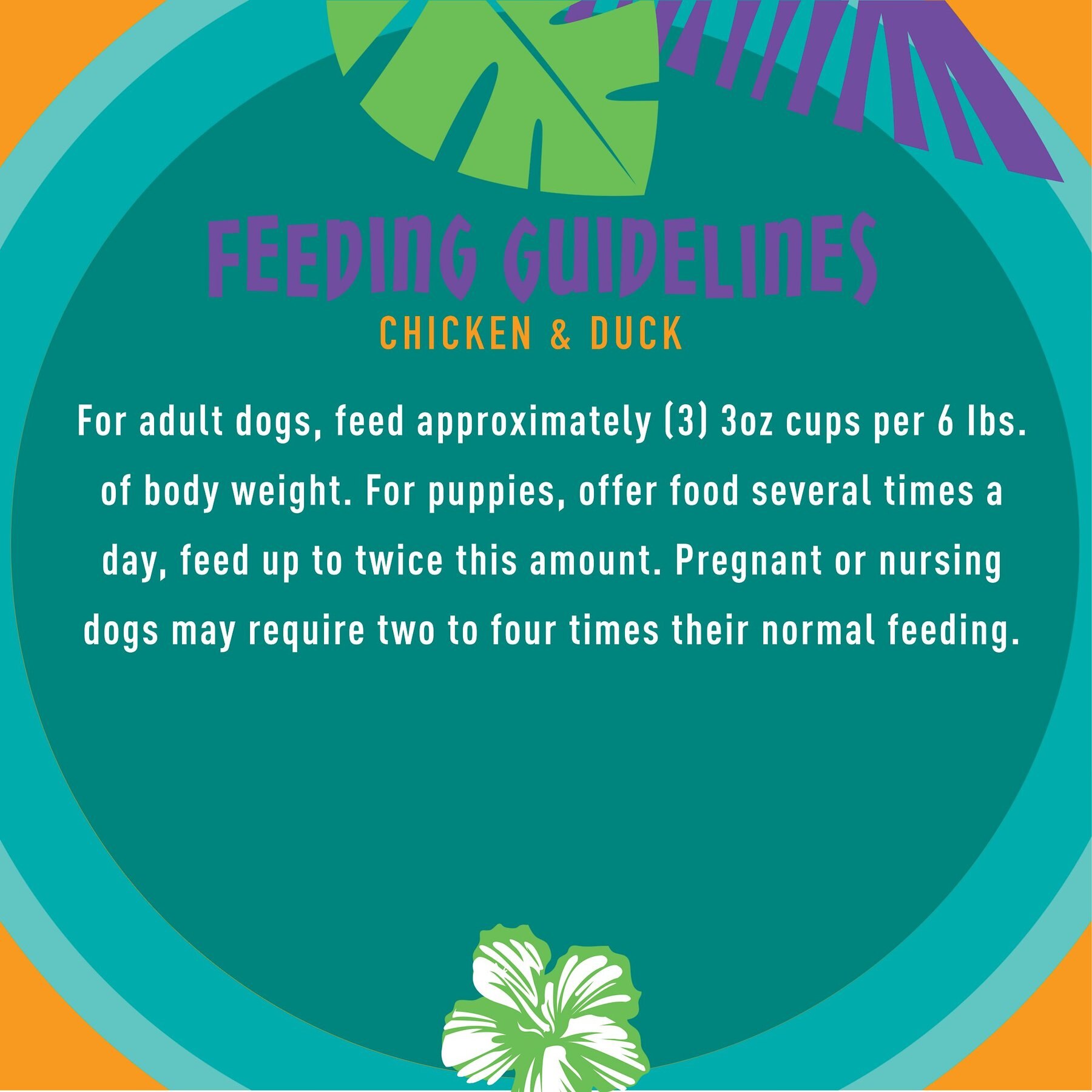 Tiki Dog Meaty High Protein Diet Chicken with Duck Recipe in Broth Grain-Free Wet Dog Food, 3-oz cup, case of 4