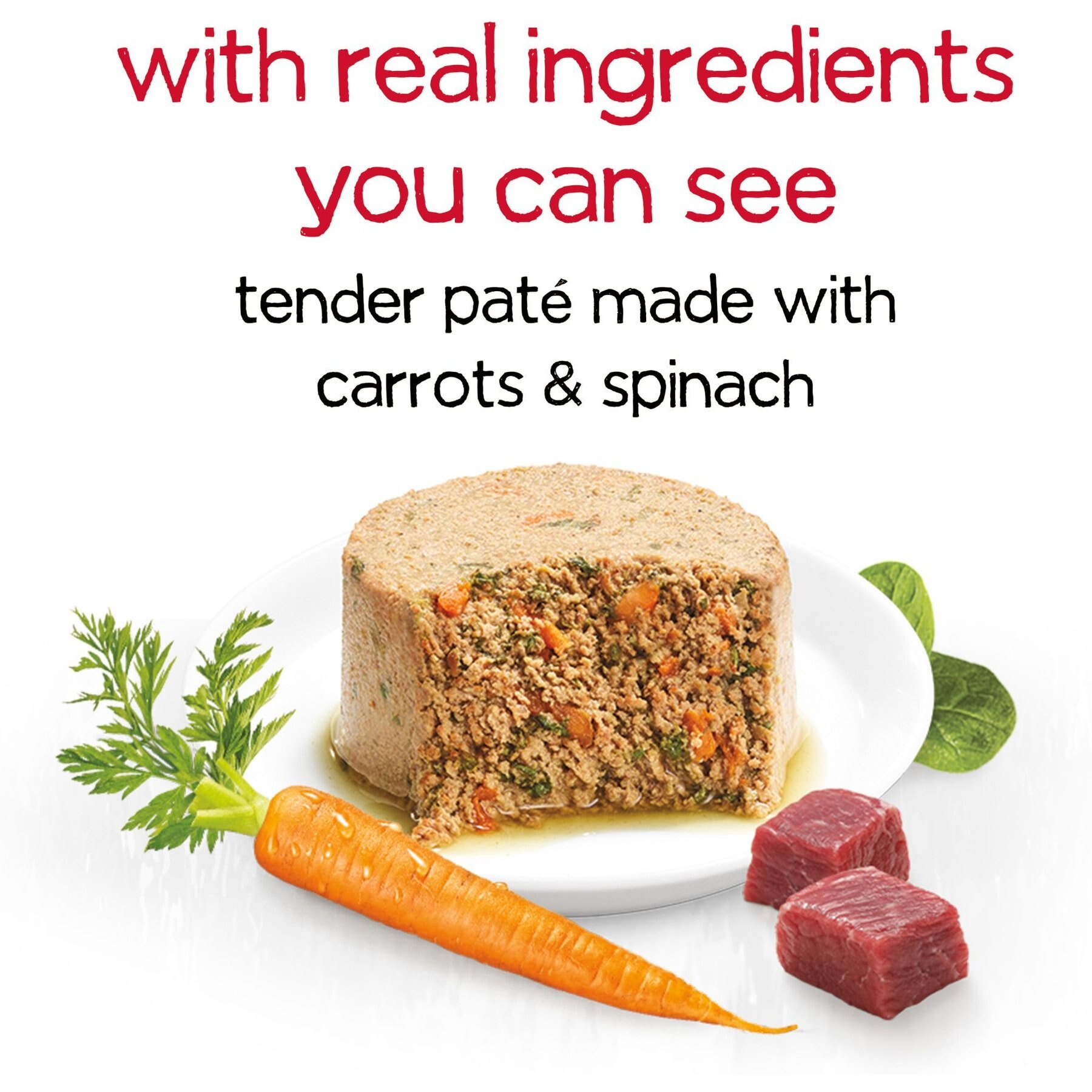 Purina Beneful Infused Pate with Real Beef, Carrots & Spinach Wet Dog Food