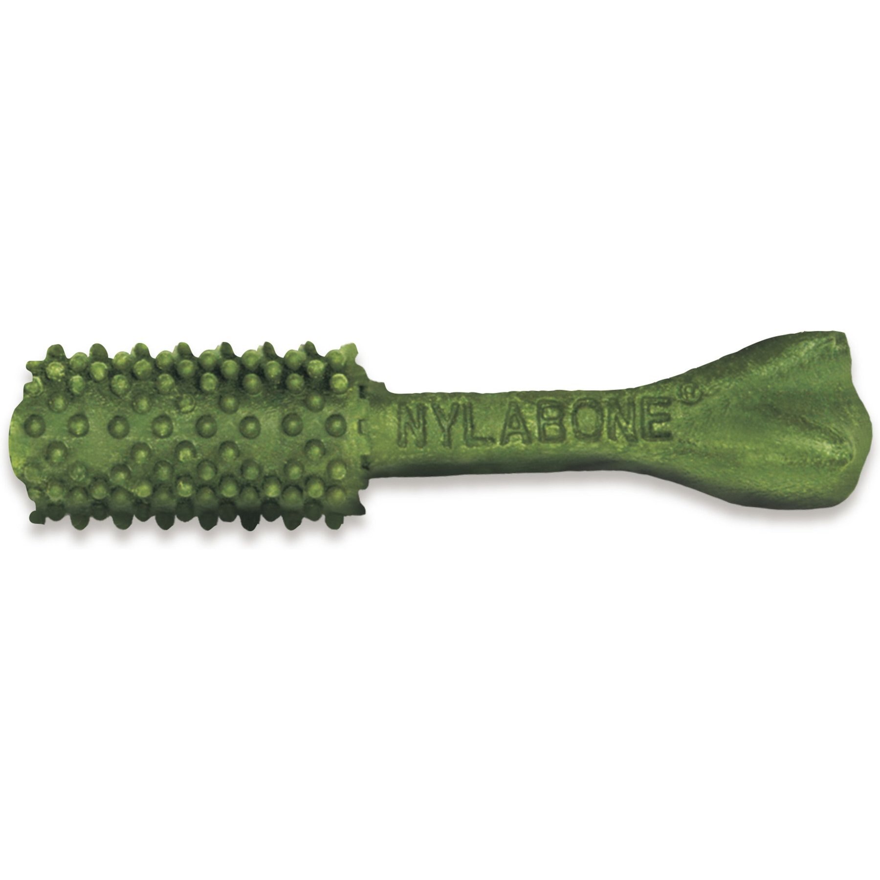 Nylabone Nutri Dent Natural Dental Fresh Breath Flavored Chew Treat, Medium