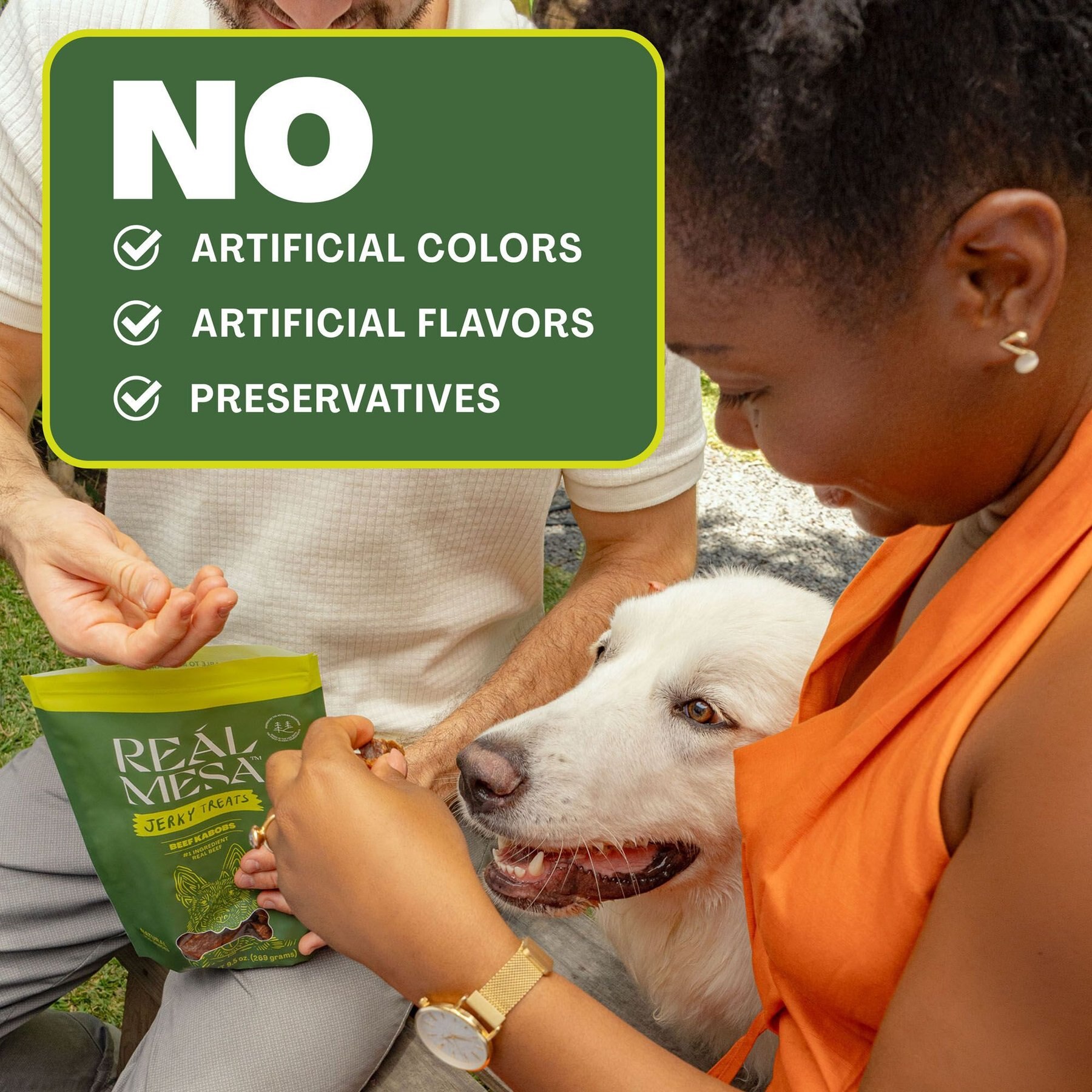 REÁL MESA Beef Kabobs Dog Jerky Treat