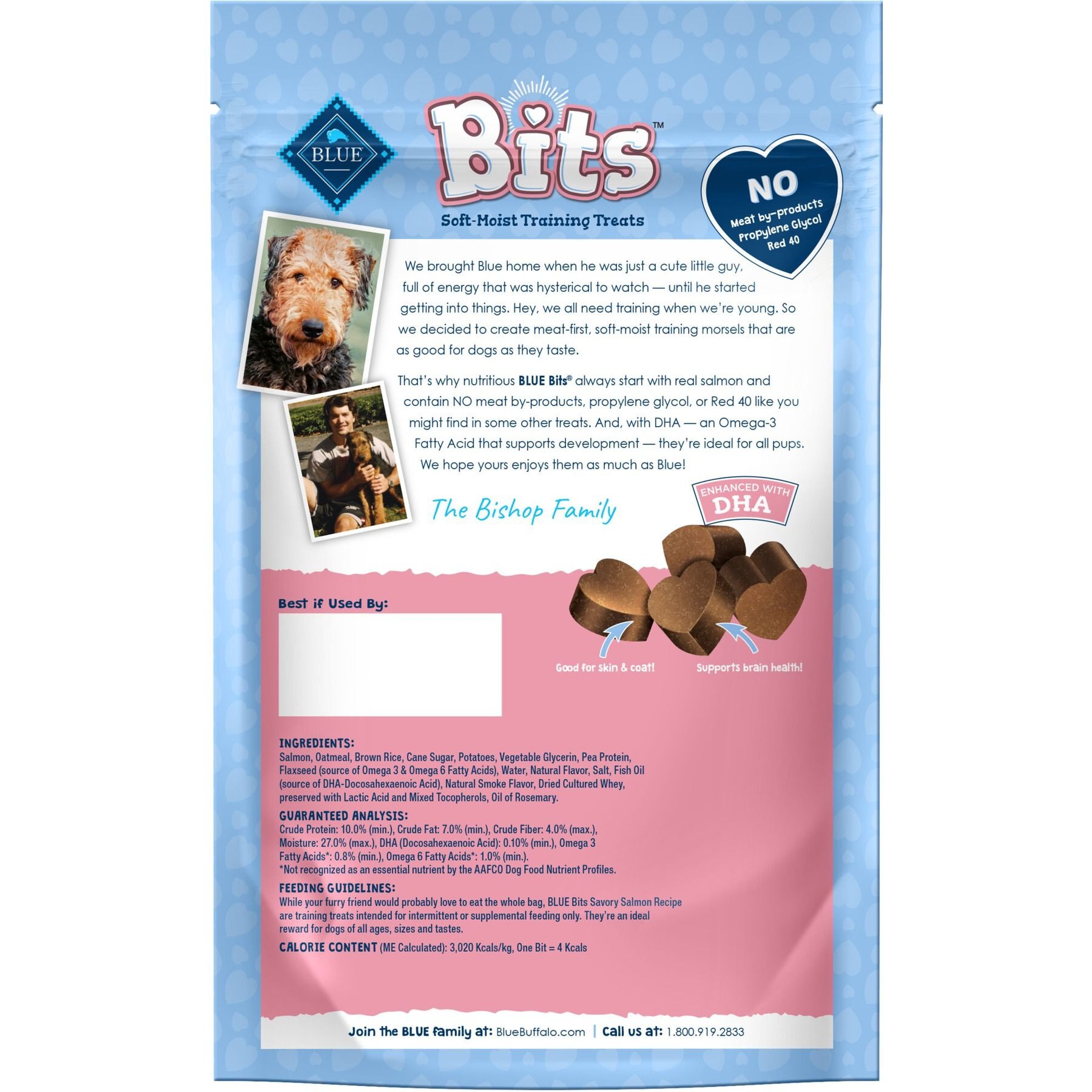 Blue Buffalo Blue Bits Savory Salmon Recipe Soft-Moist Training Dog Treats