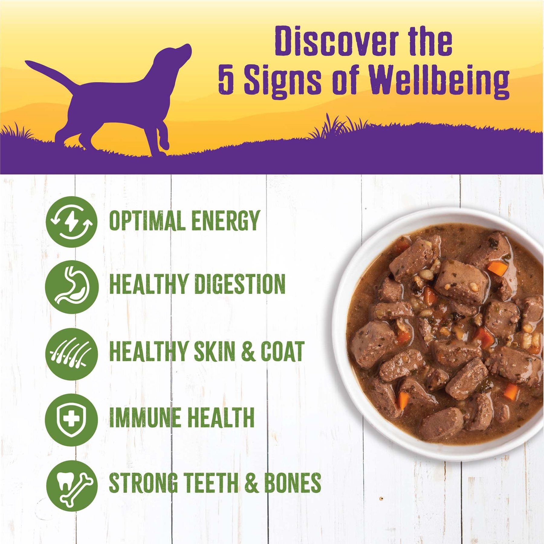 Wellness Lamb & Beef Stew with Brown Rice & Apples Canned Dog Food