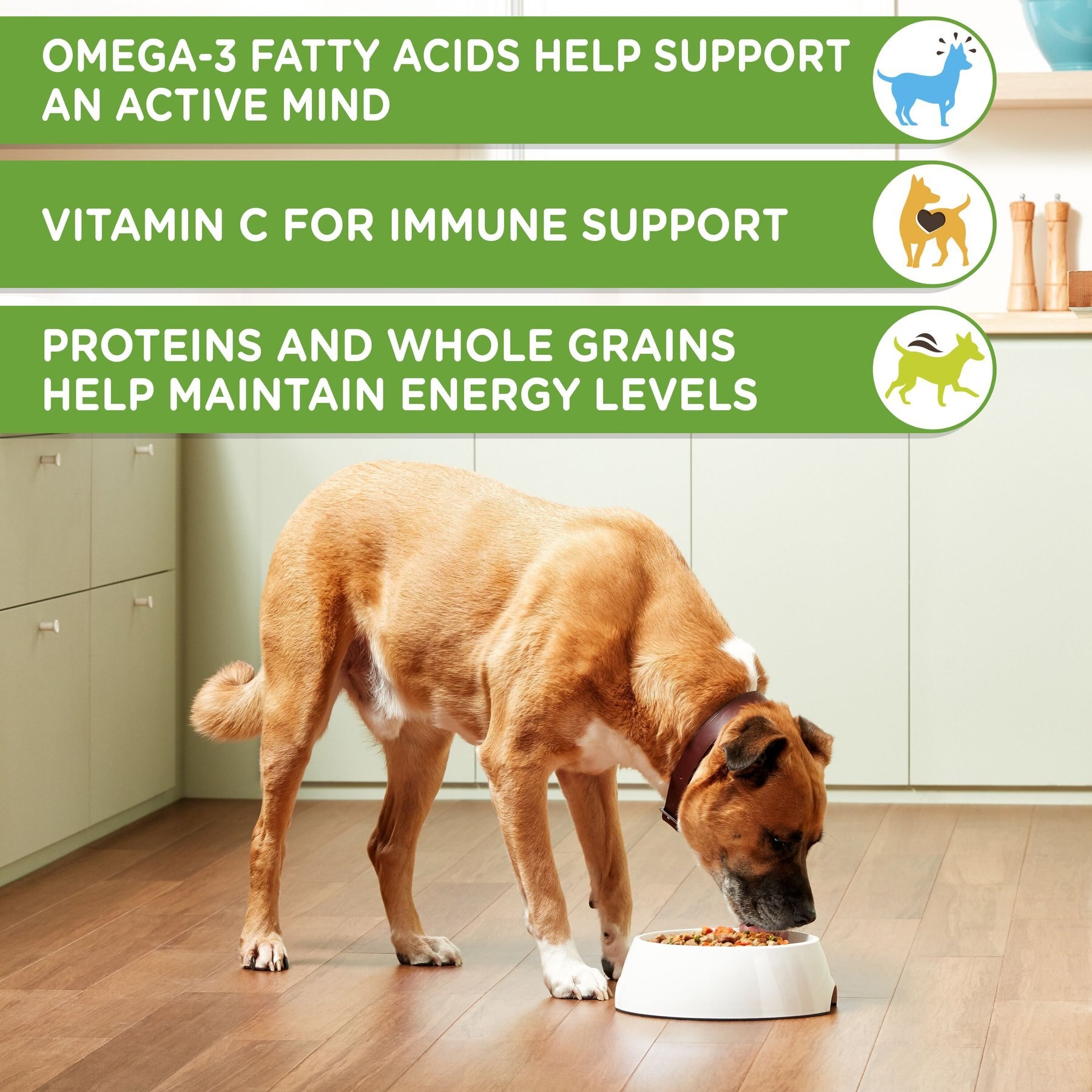 Rachael Ray Nutrish Chunks in Gravy Real Chicken & Veggies Dog Wet Food, 13-oz can, 12 count