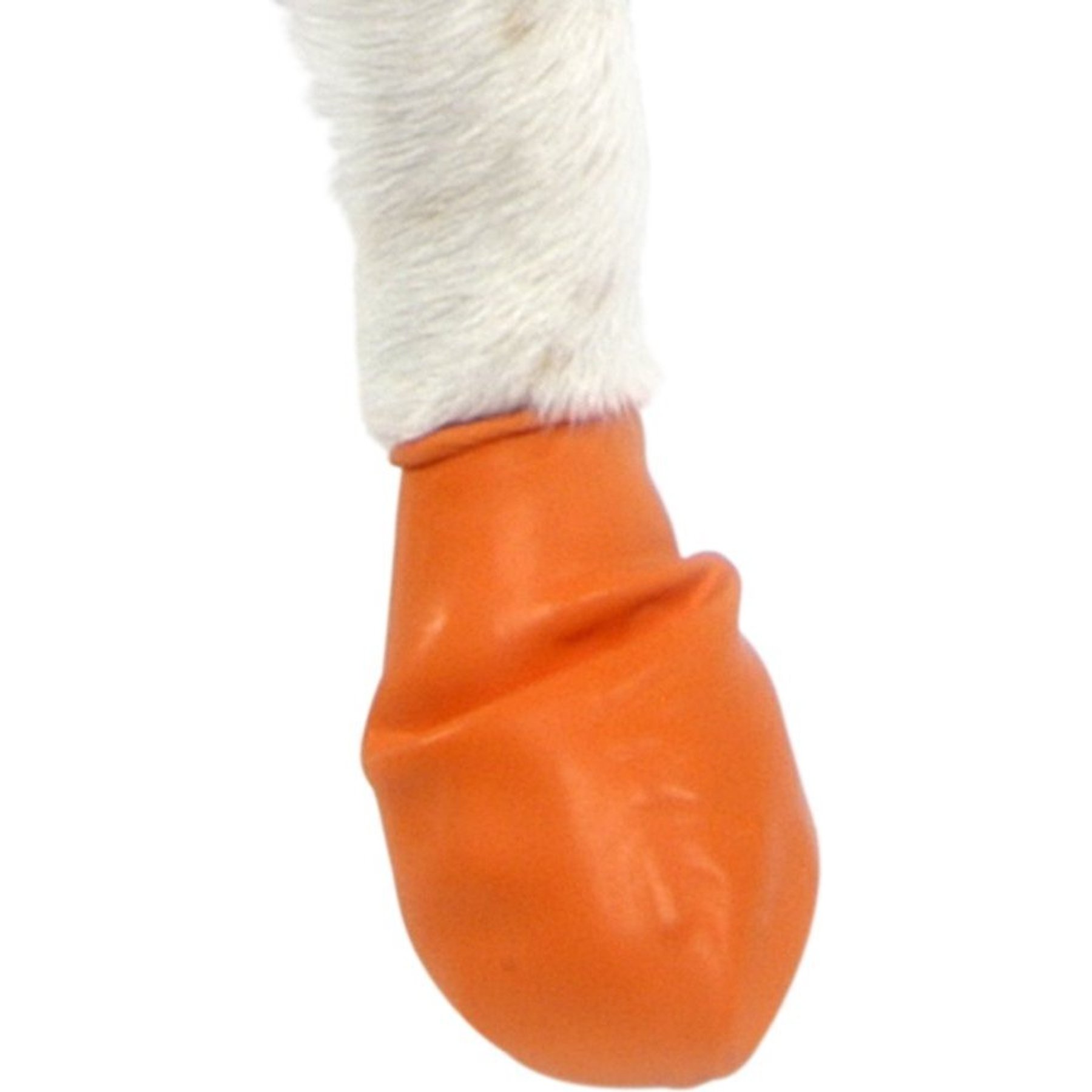 2025 new 2025 new Pawz Waterproof Dog Boots, 12 count