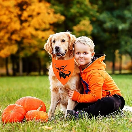 Halloween Bandanas 2 Pack, Nightmare Before Christmas Zero Dog Triangle Reversible Fall Pet Scarf, Adjustable Fit ( Face, Size