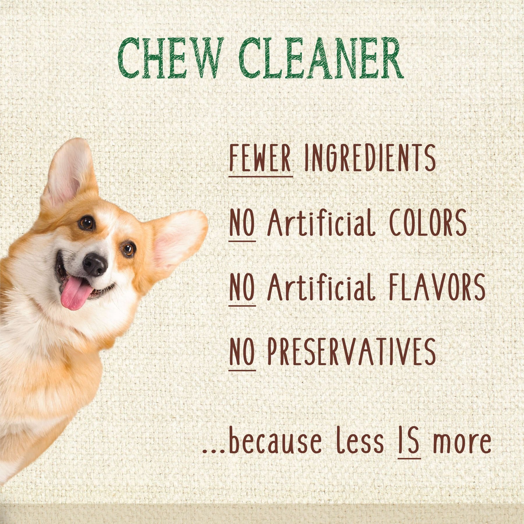 Nylabone Nutri Dent Natural Dental Fresh Breath Flavored Chew Treat, Medium