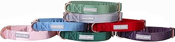 Lionet Paws Bowtie - Comfortable Silk Dog Collar with Detachable Bow Tie for Large Dogs, Neck 16-24 Inches