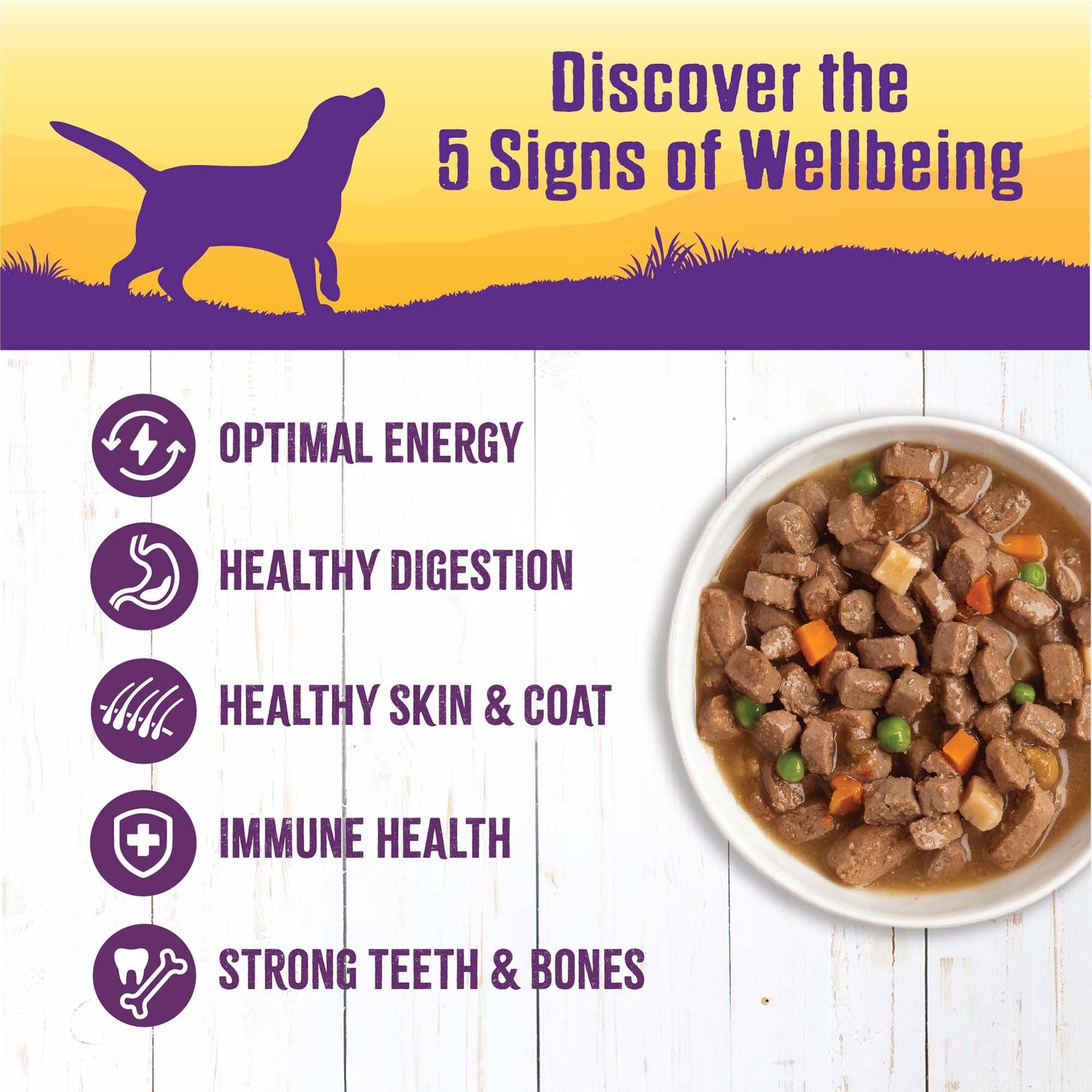 Wellness Chicken Stew with Peas & Carrots Grain-Free Natural Canned Dog Food