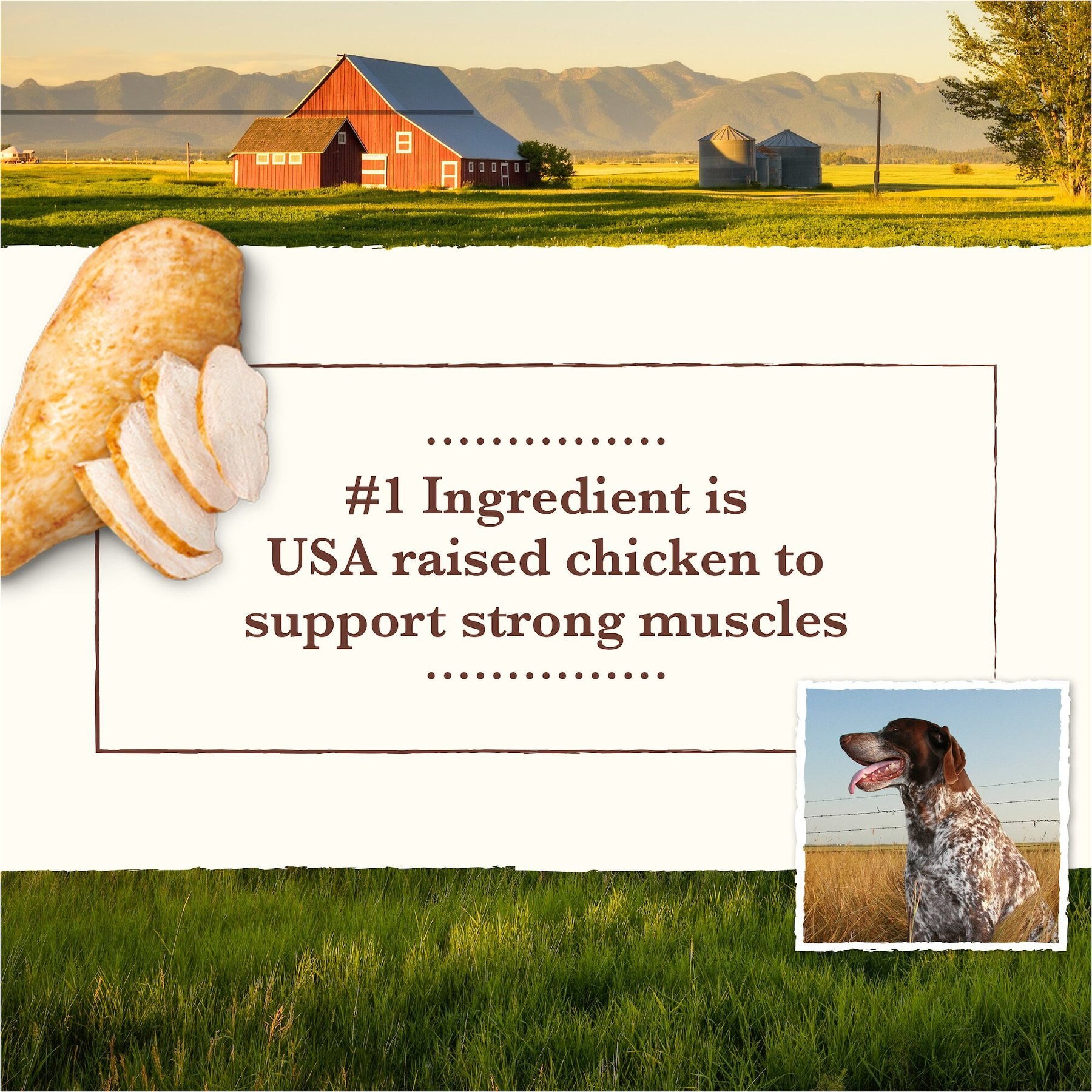 Whole Earth Farms Grain-Free Chicken & Turkey Recipe Canned Dog Food