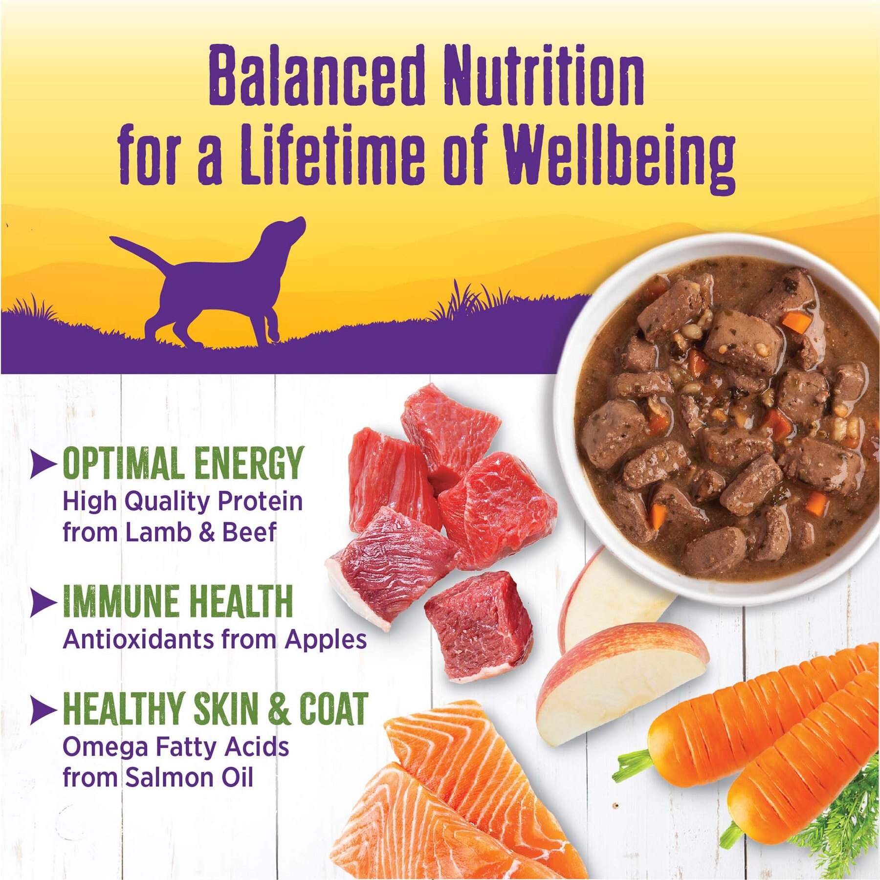 Wellness Lamb & Beef Stew with Brown Rice & Apples Canned Dog Food