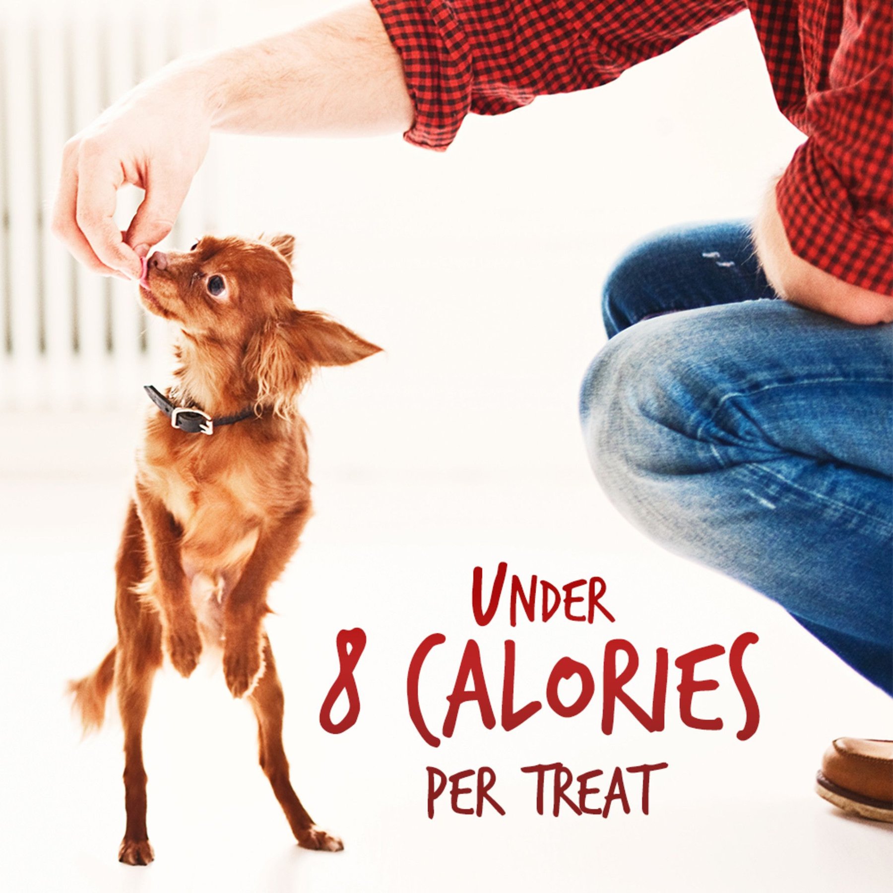 Fruitables Crispy Bacon & Apple Flavor Dog Treats