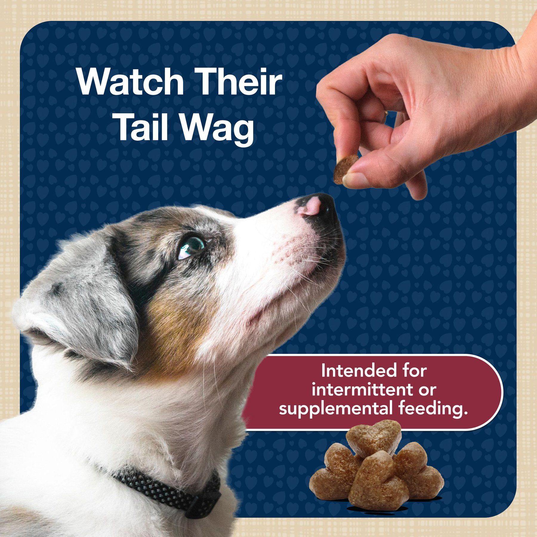 Blue Buffalo Blue Bits Tender Beef Recipe Soft-Moist Training Dog Treats