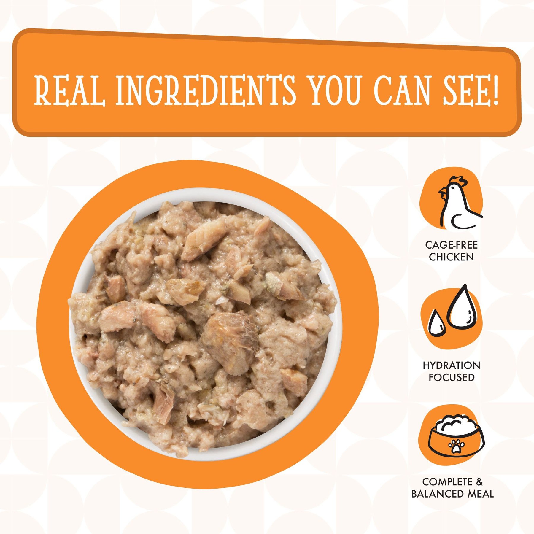 Weruva Dogs in the Kitchen Goldie Lox with Chicken & Wild Caught Salmon Au Jus Grain-Free Dog Food Pouches