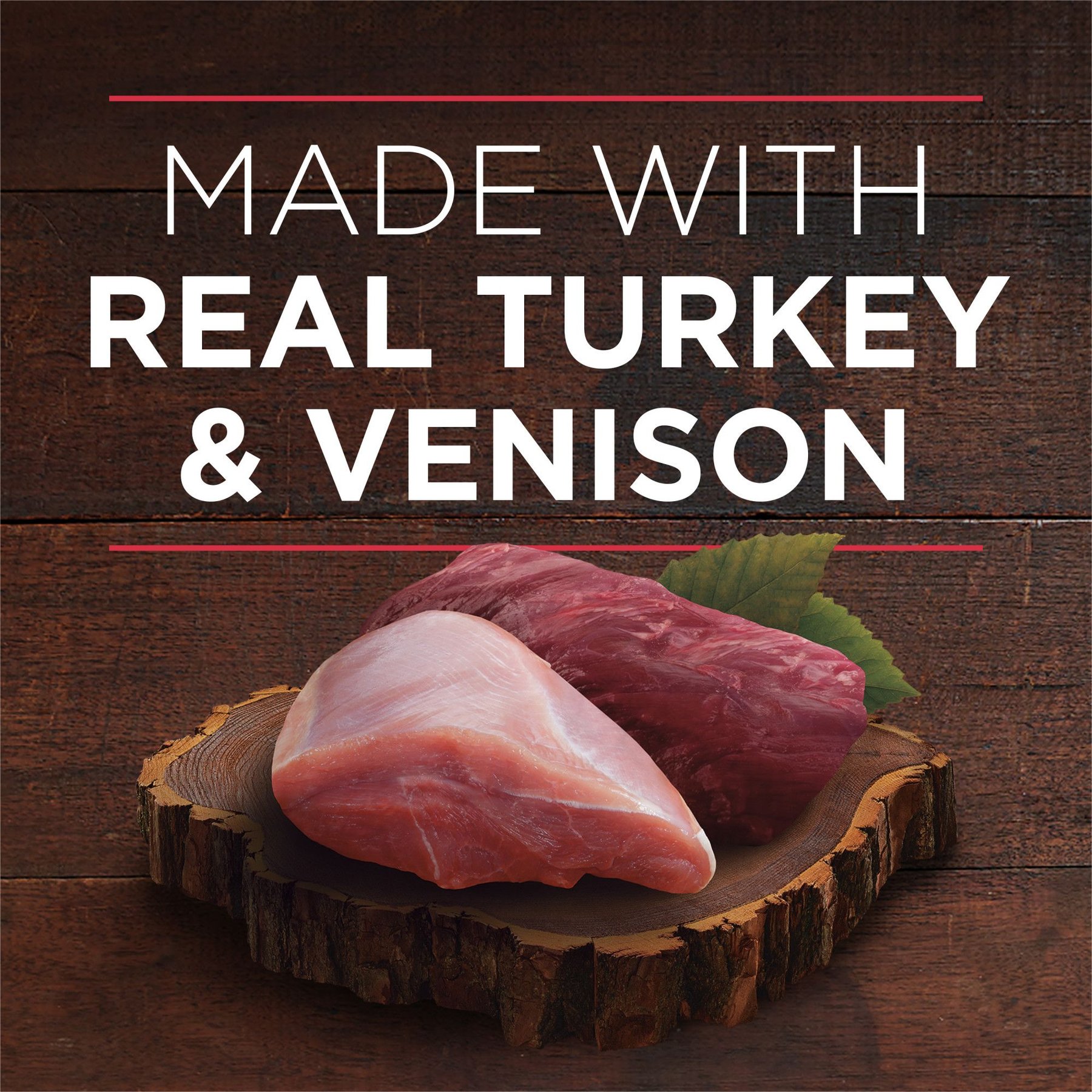 Purina ONE SmartBlend True Instinct Tender Cuts in Gravy with Real Turkey & Venison Canned Dog Food