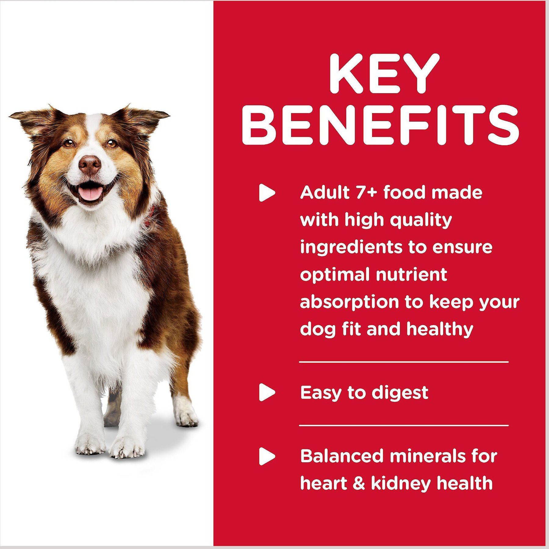 Hill's Science Diet Senior Adult 7+ Turkey & Barley Entree Canned Dog Food, 13-oz, case of 12