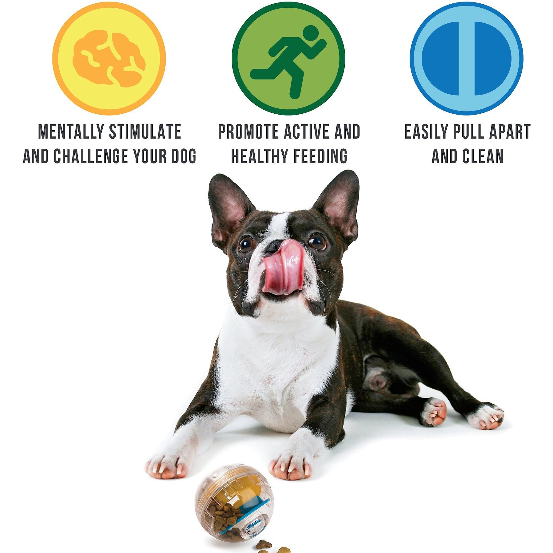 2025 new Pet Zone IQ Treat Dispenser Ball Dog Toy