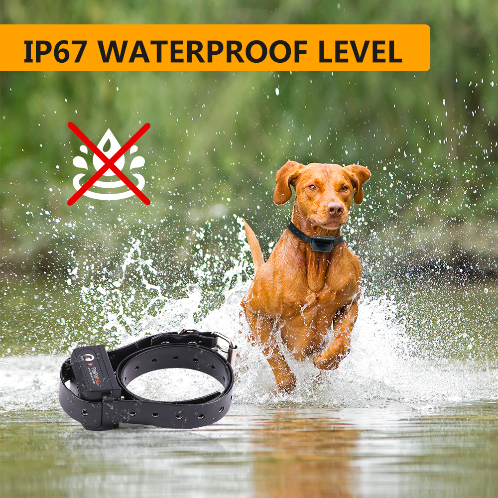 Pet Supplies And Equipment Dog Training Collar Waterproof Electric Anti Bark Pet Shock Collar With Control Remote 500 M