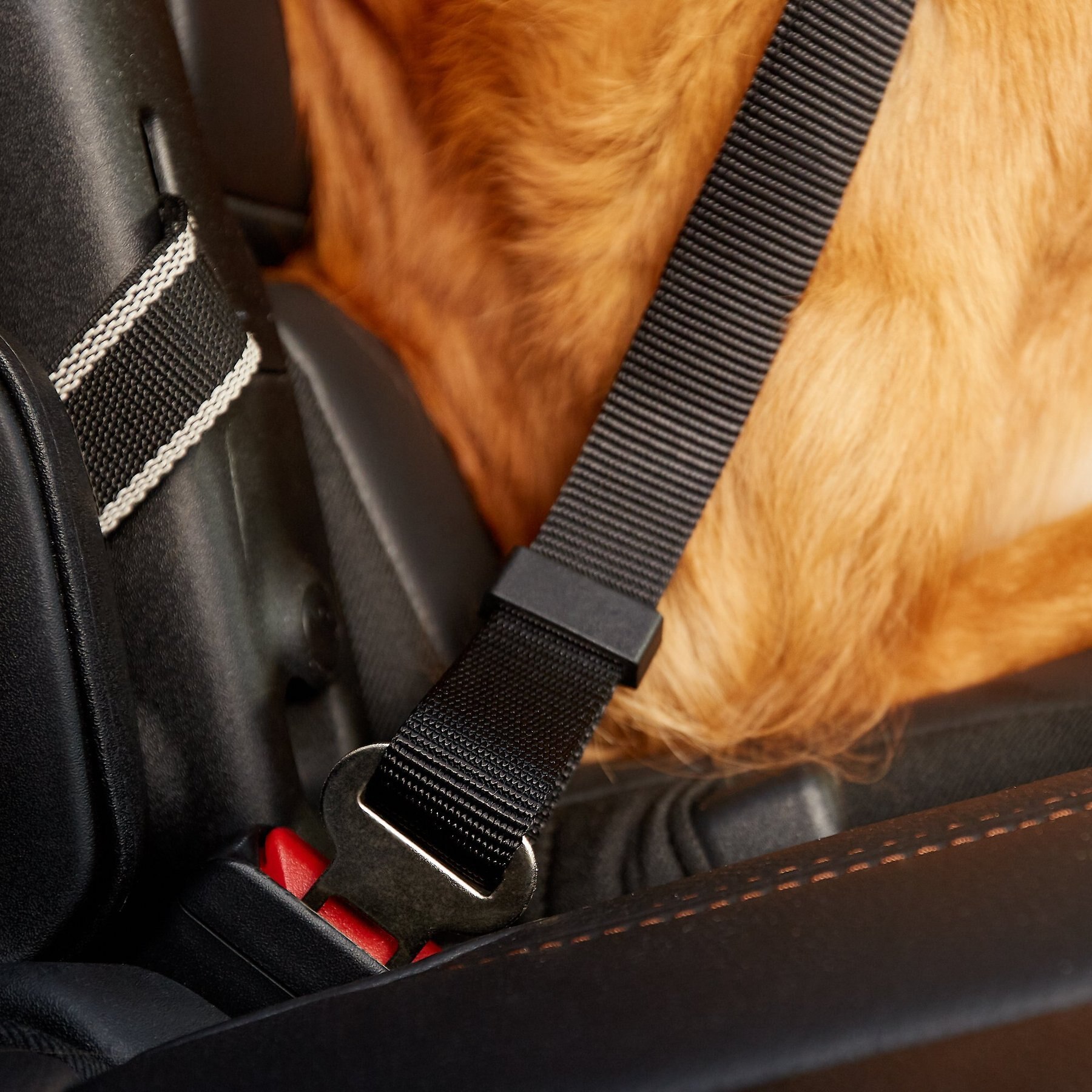 Dogit Car Safety Dog Belt