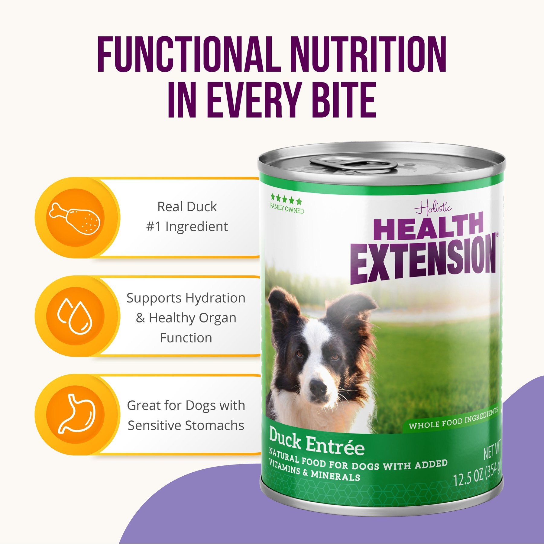 Health Extension Grain-Free Duck Entree Canned Dog Food