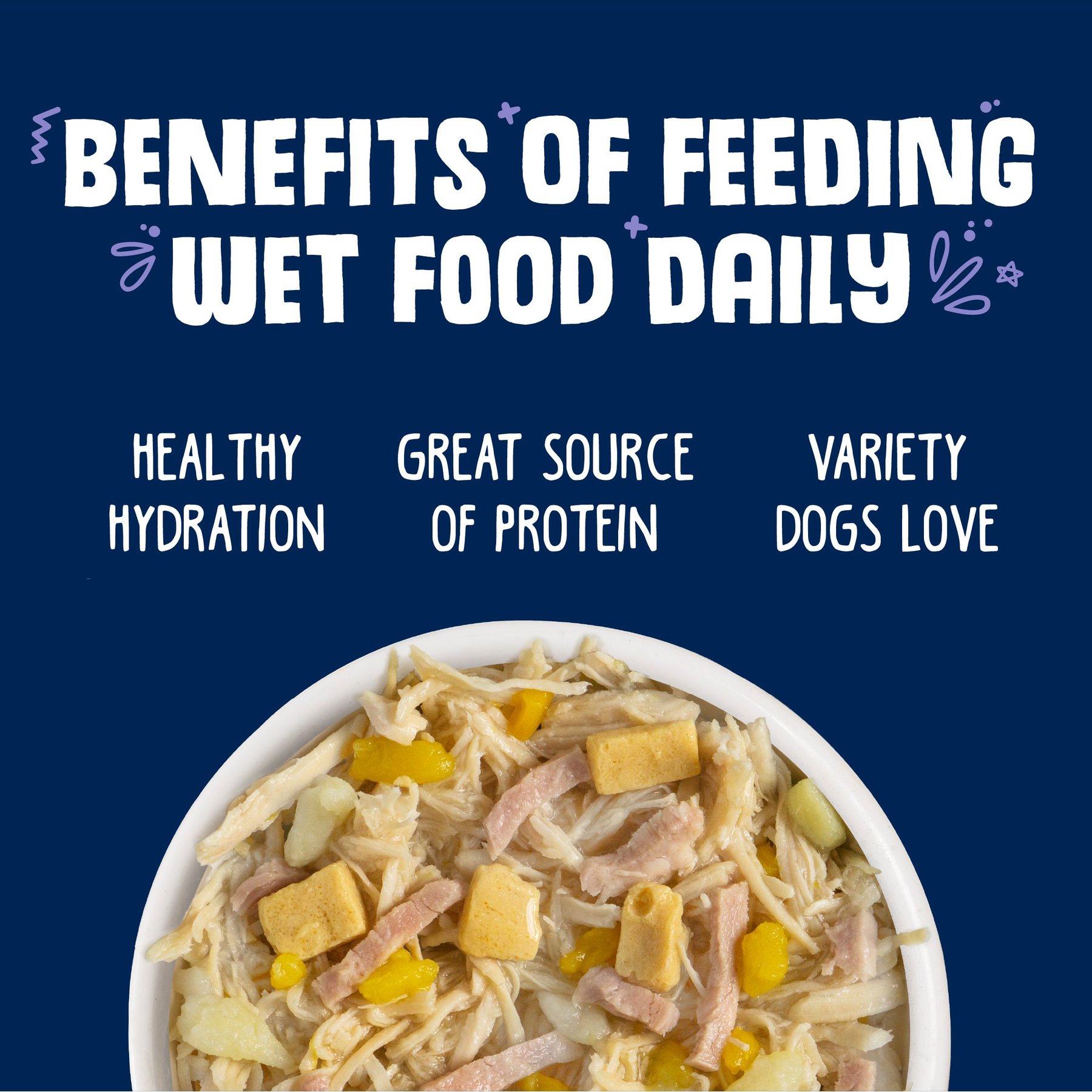 Weruva Bed & Breakfast with Chicken, Egg, Pumpkin & Ham in Gravy Grain-Free Canned Dog Food