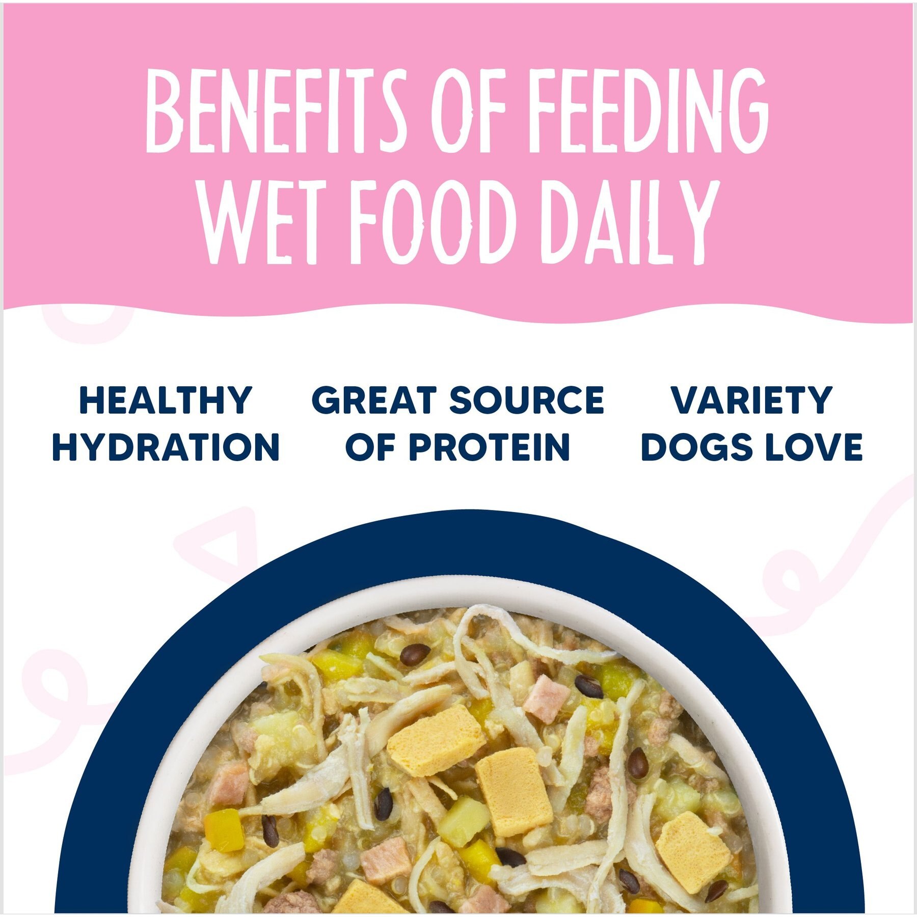 Weruva Meals 'n More Natural Wet Dog Food, Bed & Breakfast Plus Digestive Support, 3.5-oz cup, 12 count
