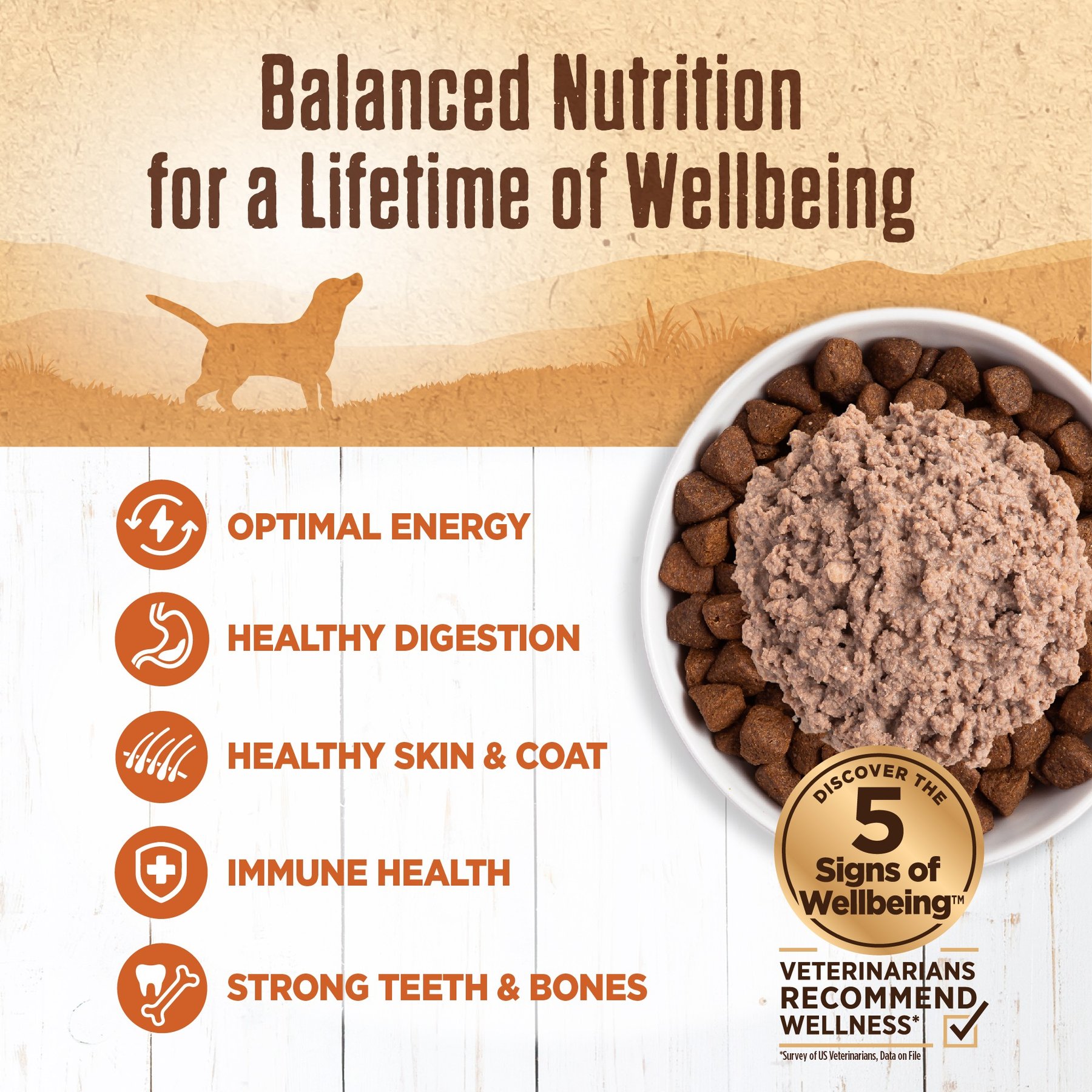 Wellness Ninety-Five Percent Turkey Grain-Free Canned Dog Food
