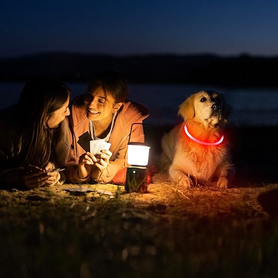 HIGO Up USB Rechargeable LED Collar Glow in The Dark, TPU Flash Dog Necklace Light Make Your Dogs Be Visible& Safe