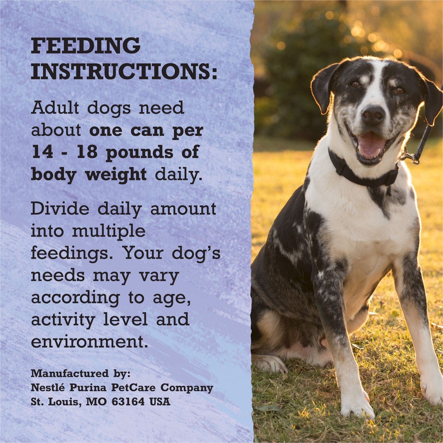 Purina Beyond Wild Prey-Inspired Grain-Free High Protein Turkey, Liver & Duck Pate Recipe Canned Dog Food