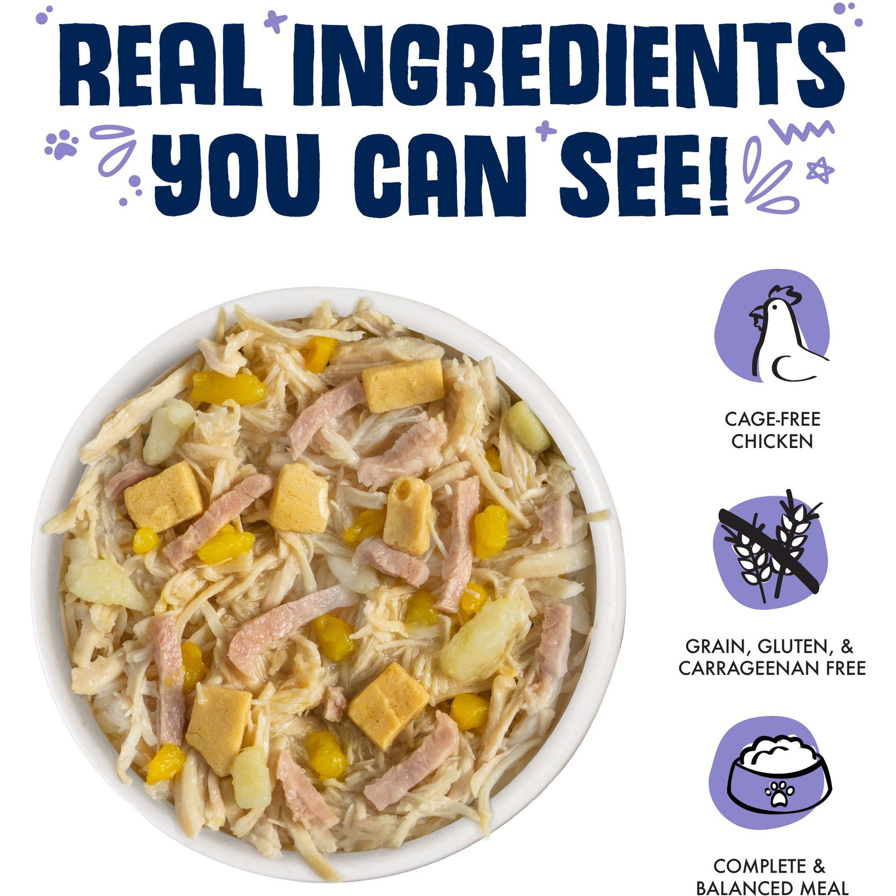 Weruva Bed & Breakfast with Chicken, Egg, Pumpkin & Ham in Gravy Grain-Free Canned Dog Food