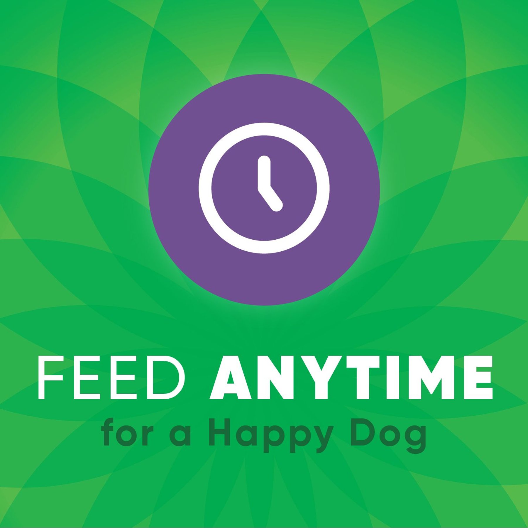 Greenies Anytime Bites Blueberry Flavor Soft & Chewy Dog Treats