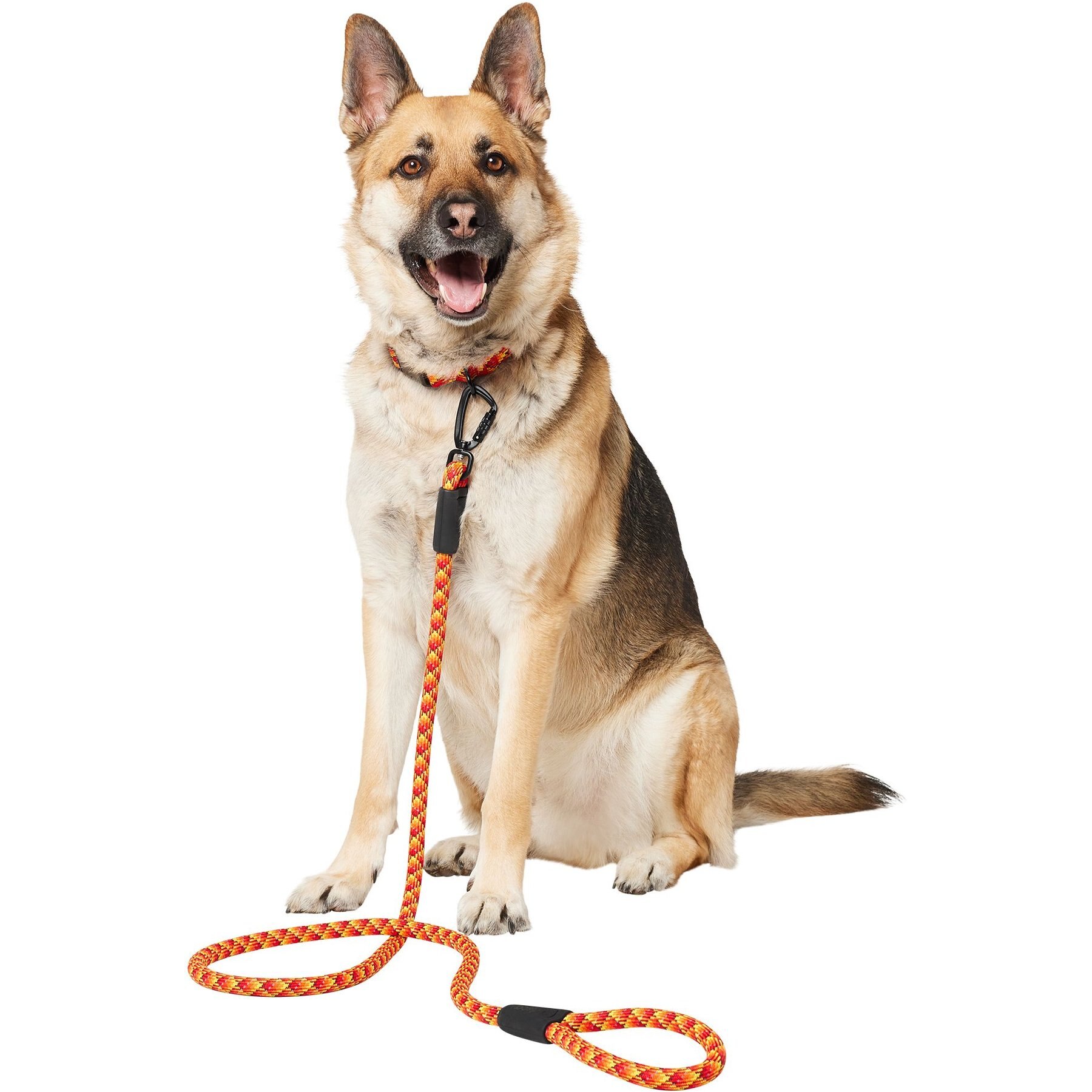 Frisco Rugged Reflective Rope Dog Leash