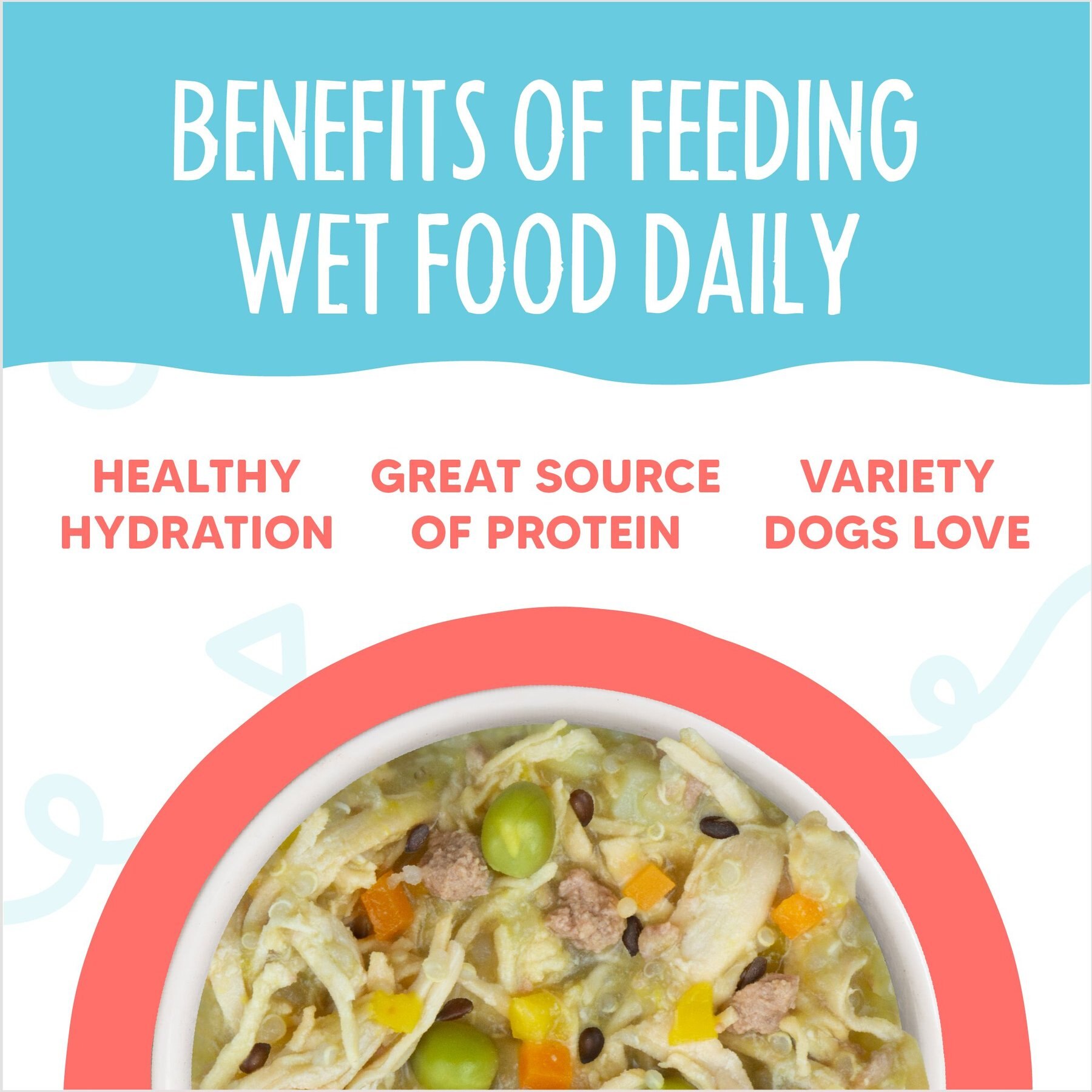 Weruva Meals 'n More Natural Wet Dog Food, Jammin' Salmon Plus Skin & Coat Health, 3.5-oz cup, 12 count