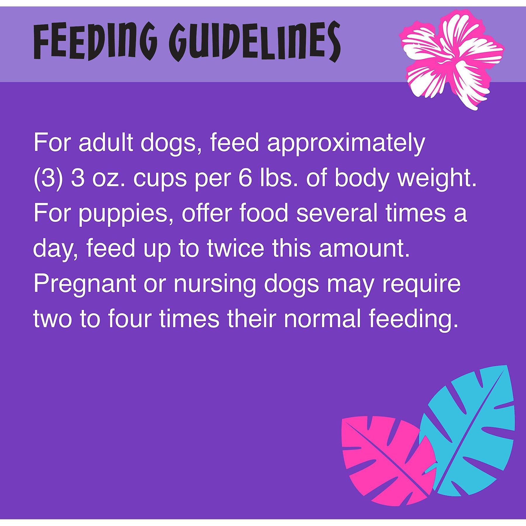 Tiki Dog Meaty High Protein Diet Chicken with Egg Recipe in Broth Grain-Free Wet Dog Food, 3-oz cup, case of 4