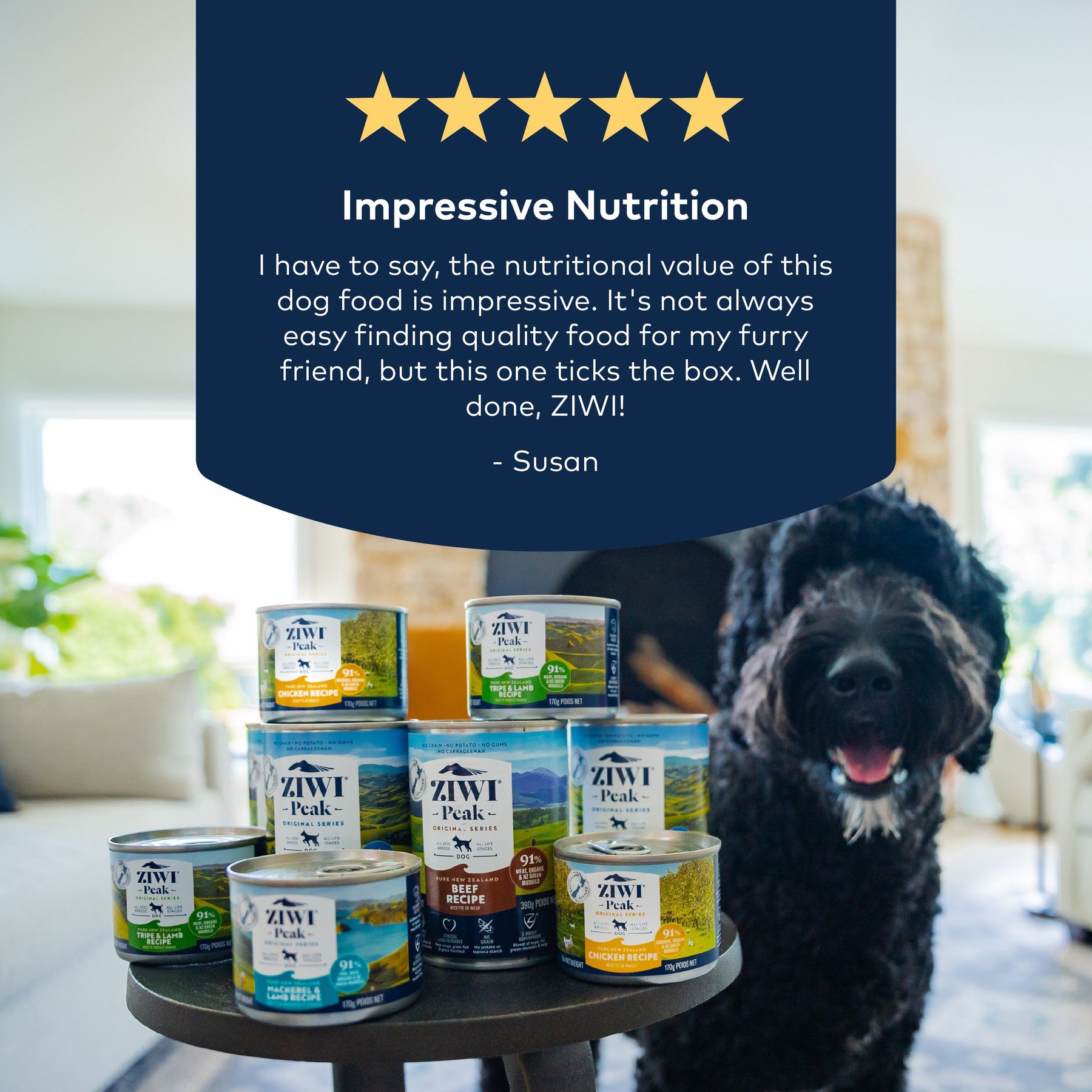 ZIWI Peak Chicken Recipe Canned Dog Food